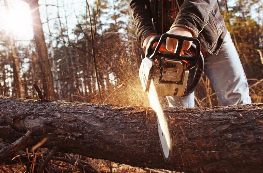 Why Were Chainsaws Invented?