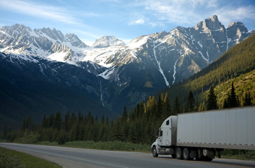 What to Look for When Hiring a Long Distance Moving Company